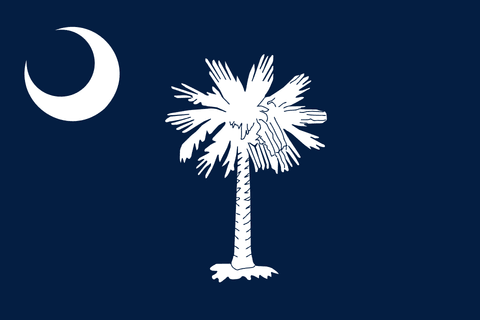 Flag of South Carolina Flag of South Carolina