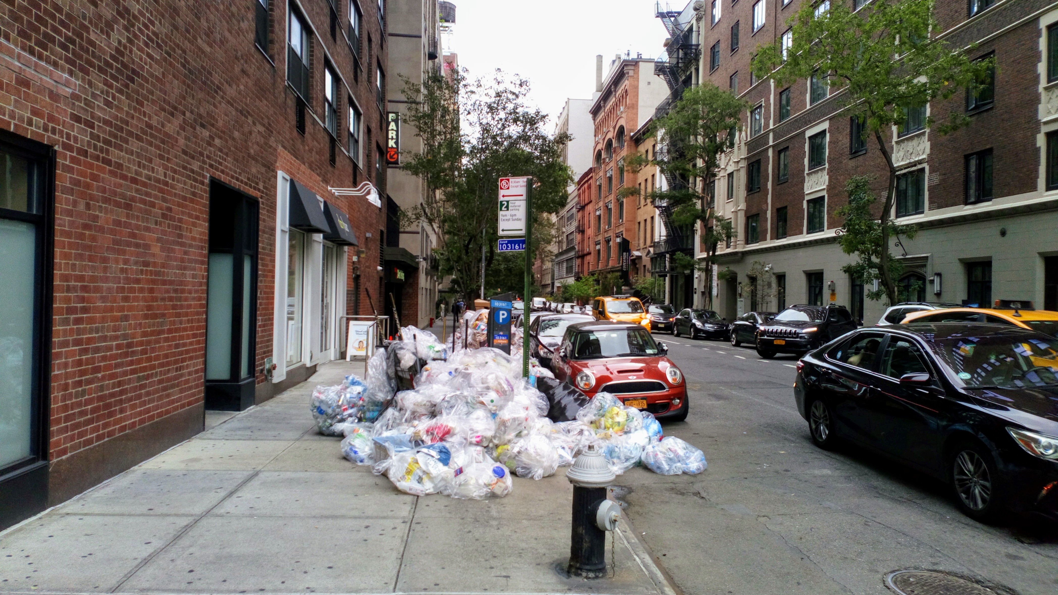 Clear bags of household trash piled along a Manhattan sidewalk beside parked cars