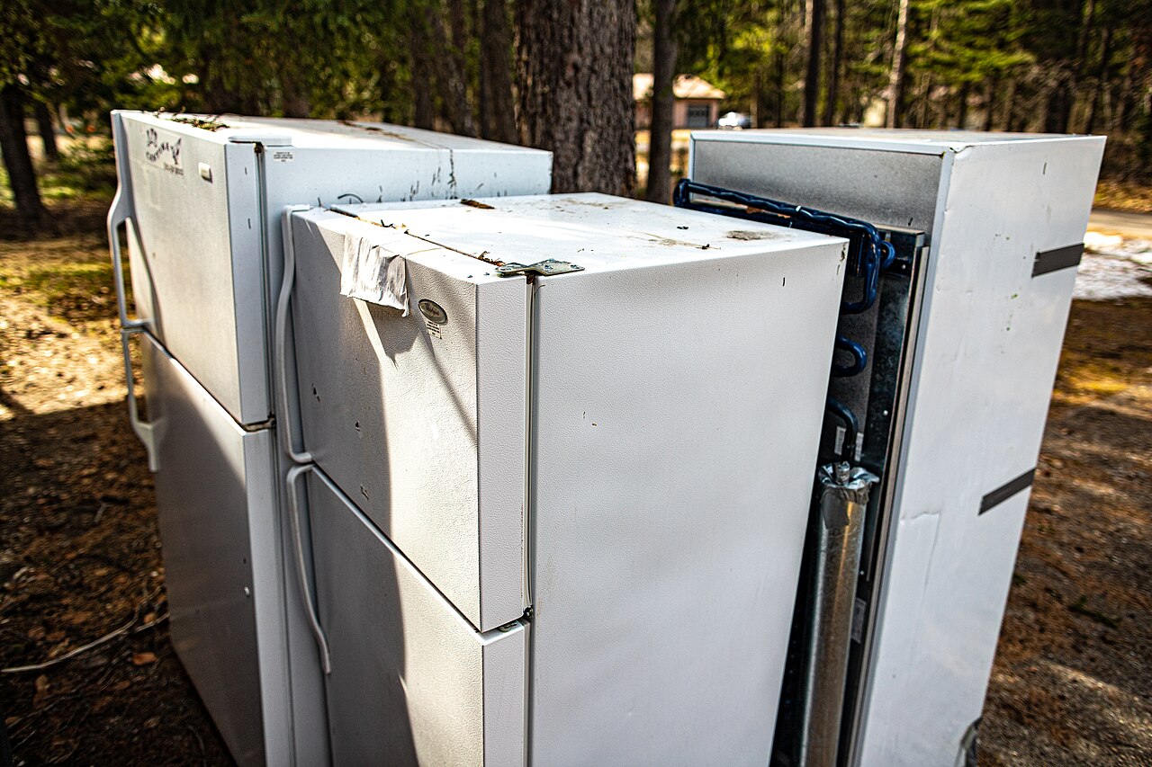 Three old white refrigerators standing outdoors among pine trees, one with its back coils exposed